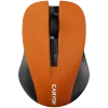 Simple coloured mouse MW-1