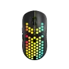 Gaming Mouse Haster GMW-18