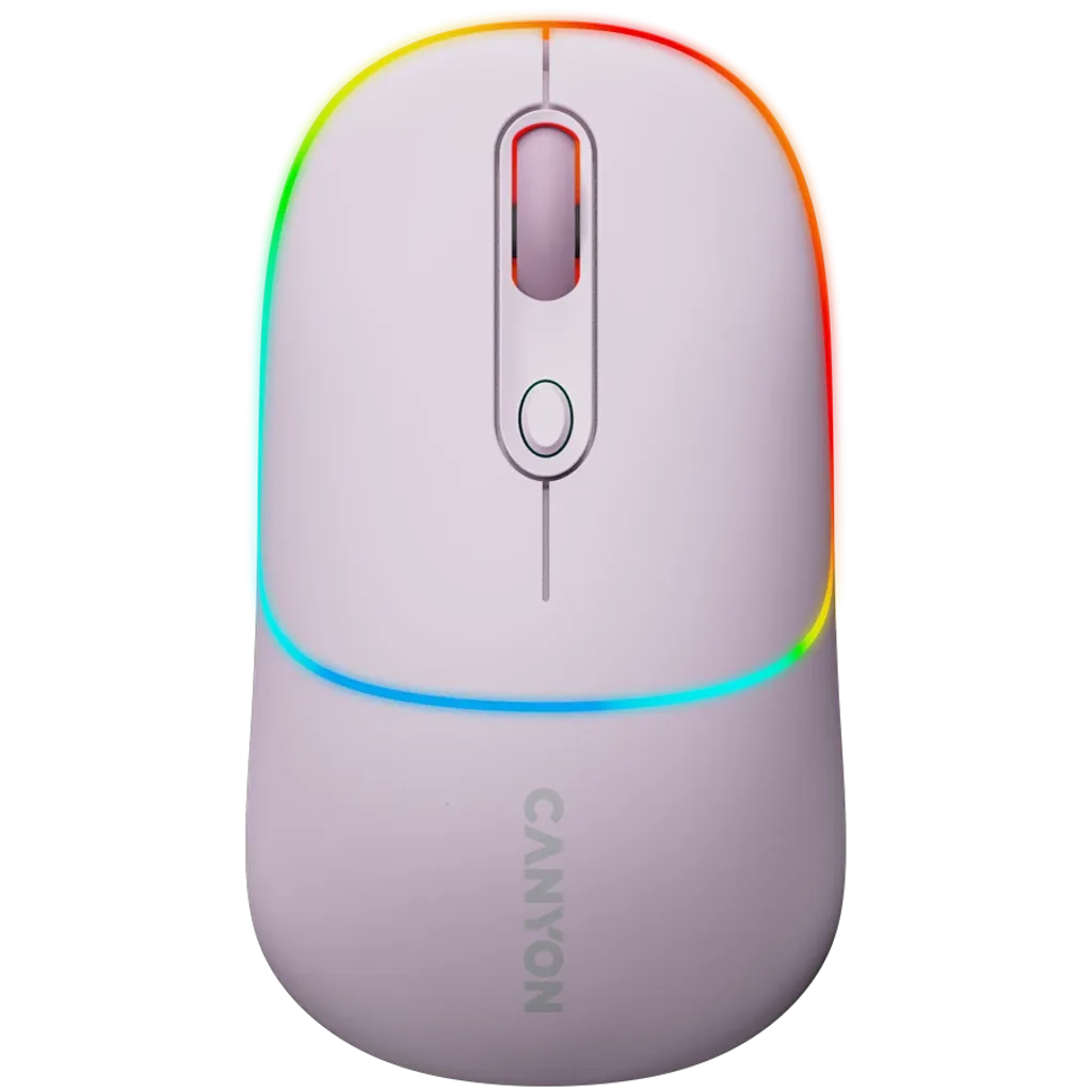 Dual mode wireless mouse MW-22