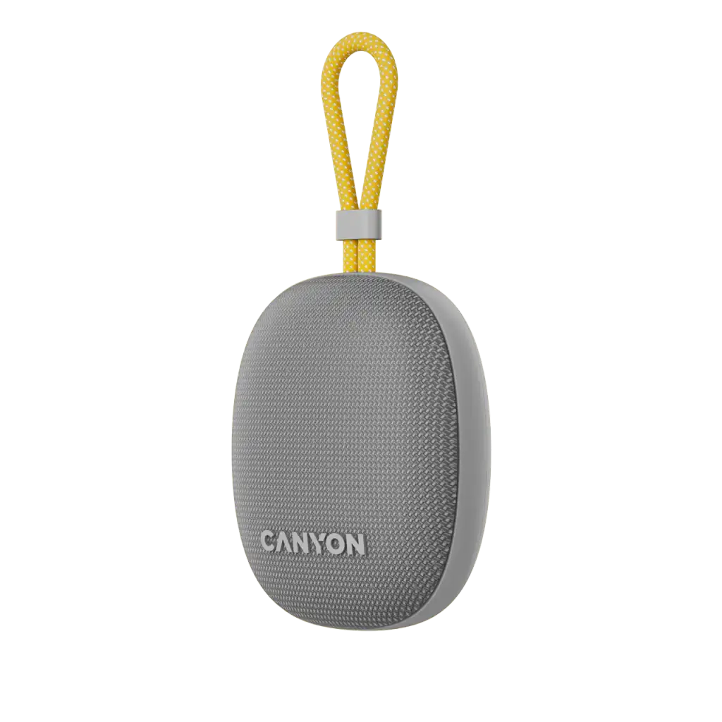 Canyon OnMove 15: Altoparlante Wireless Portatile 40W Con Luci RGB E Impermeabile IPX6 (Grigio)