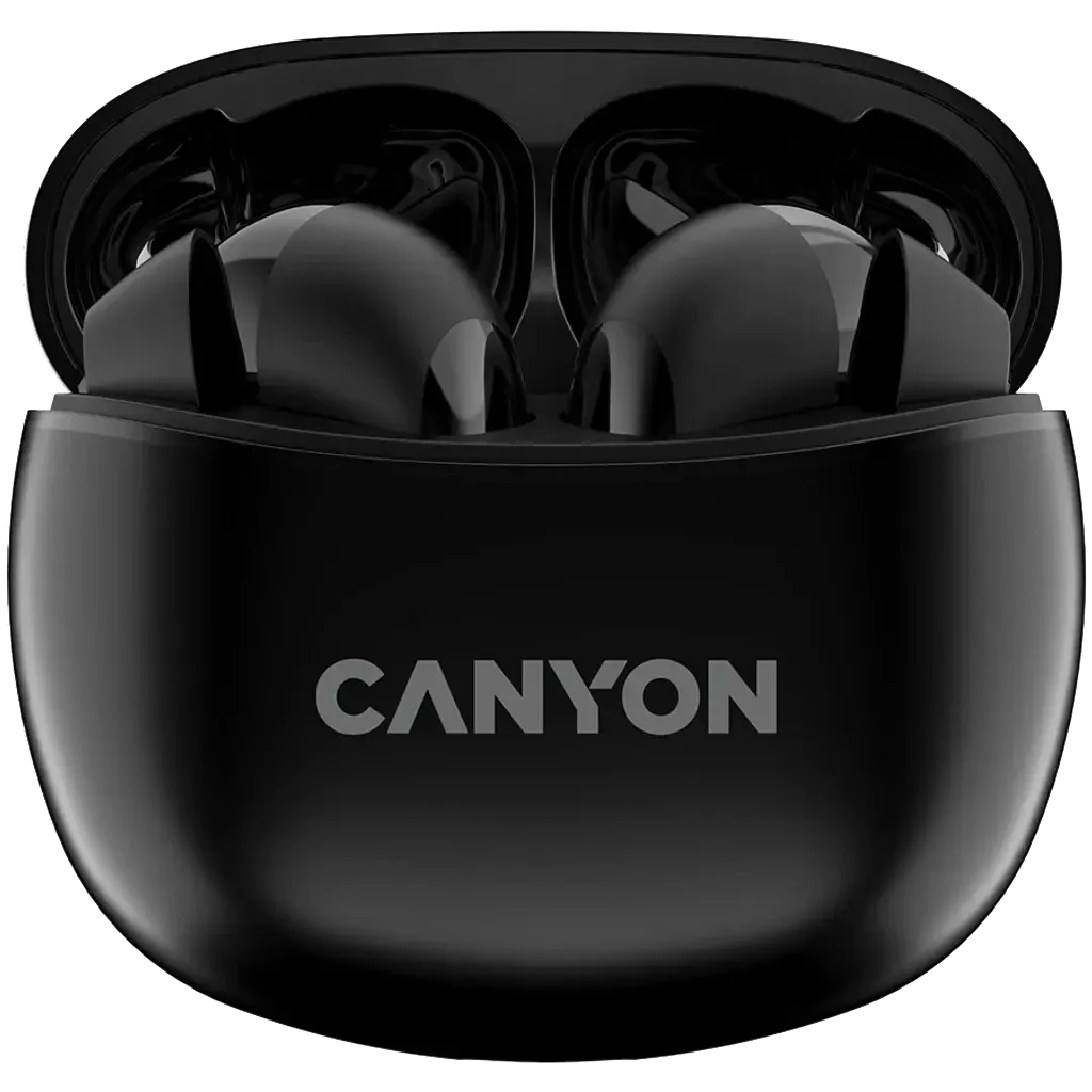 True wireless stereo headset TWS-5