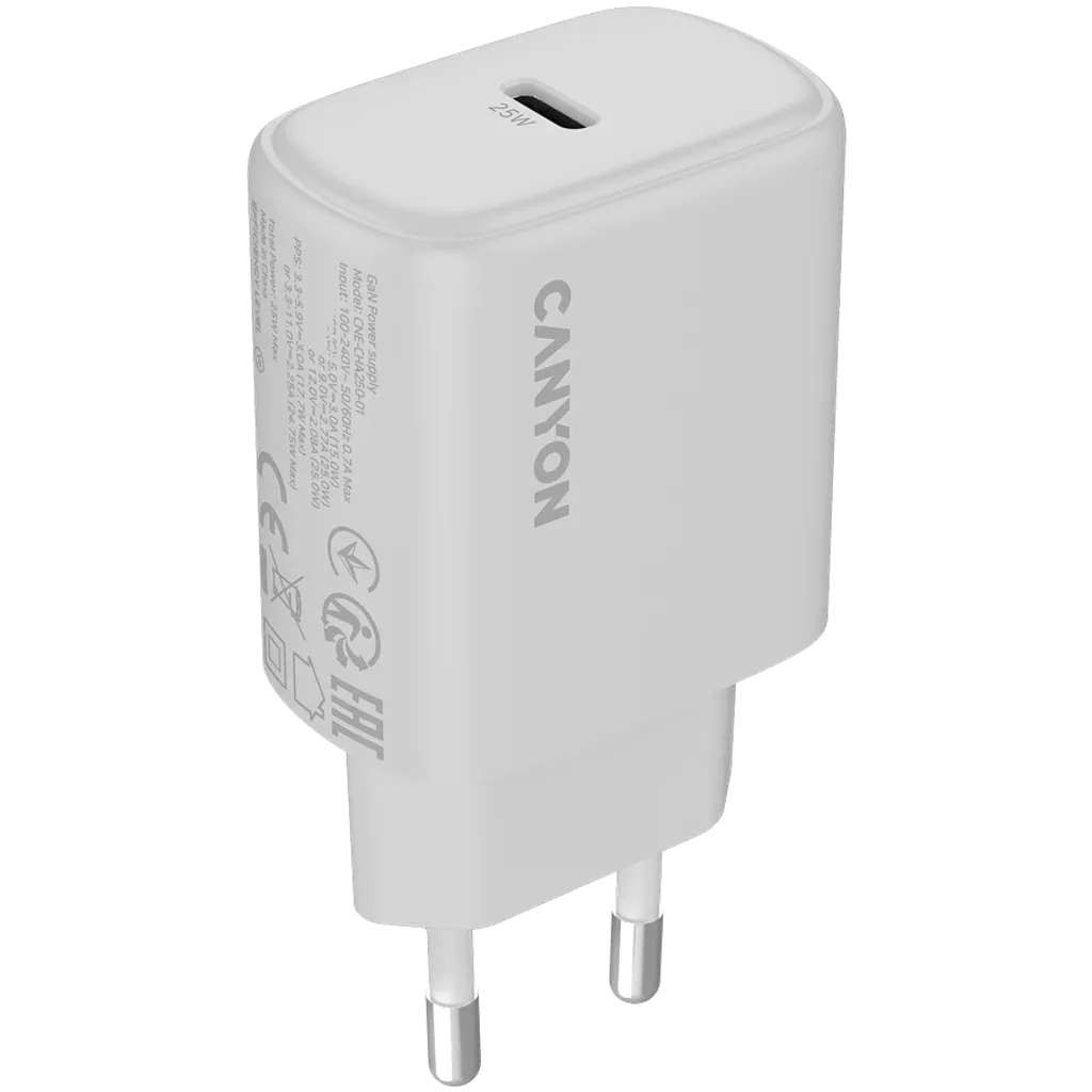 Wall Charger OnCharge 250