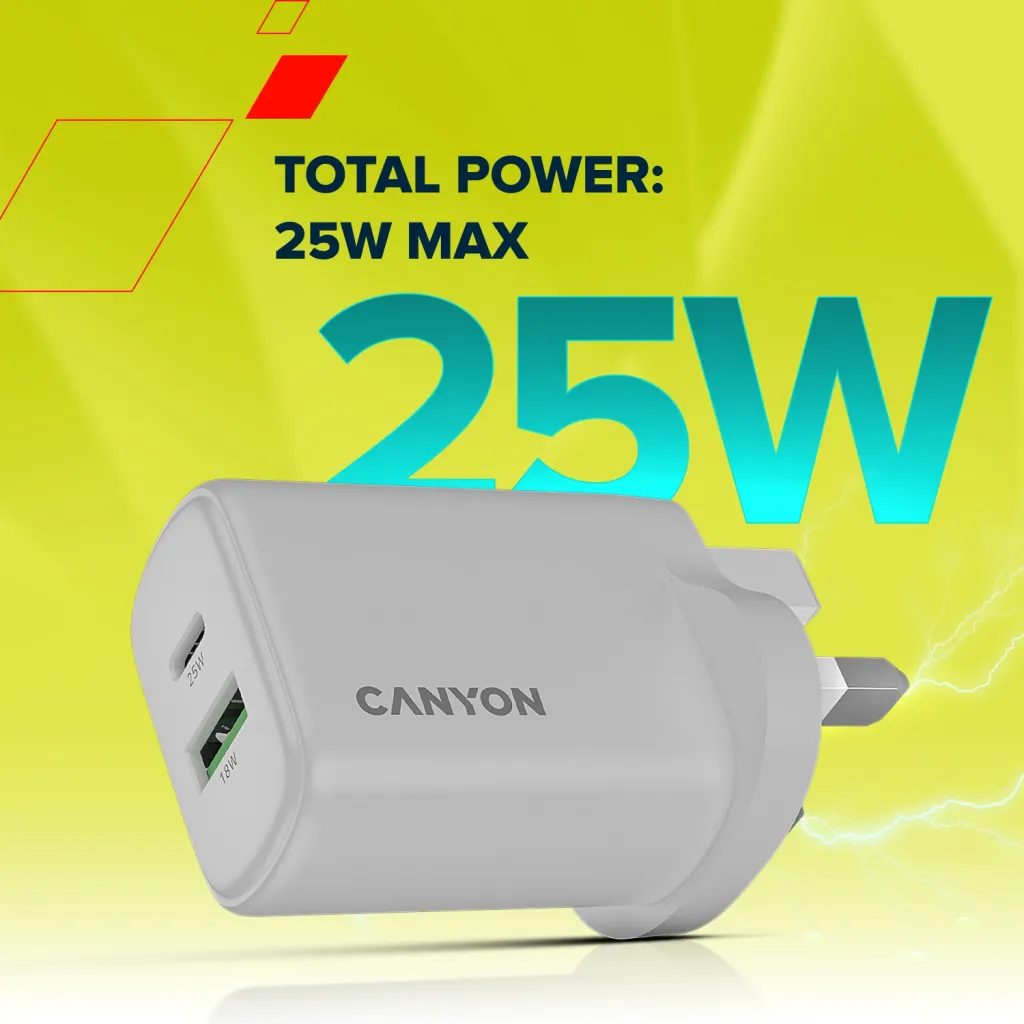 Wall Charger OnCharge 250 UK - Photo 7