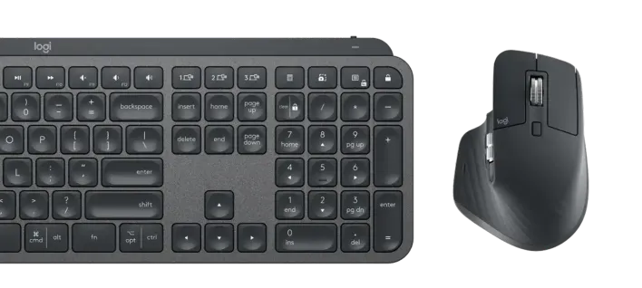 mouse
