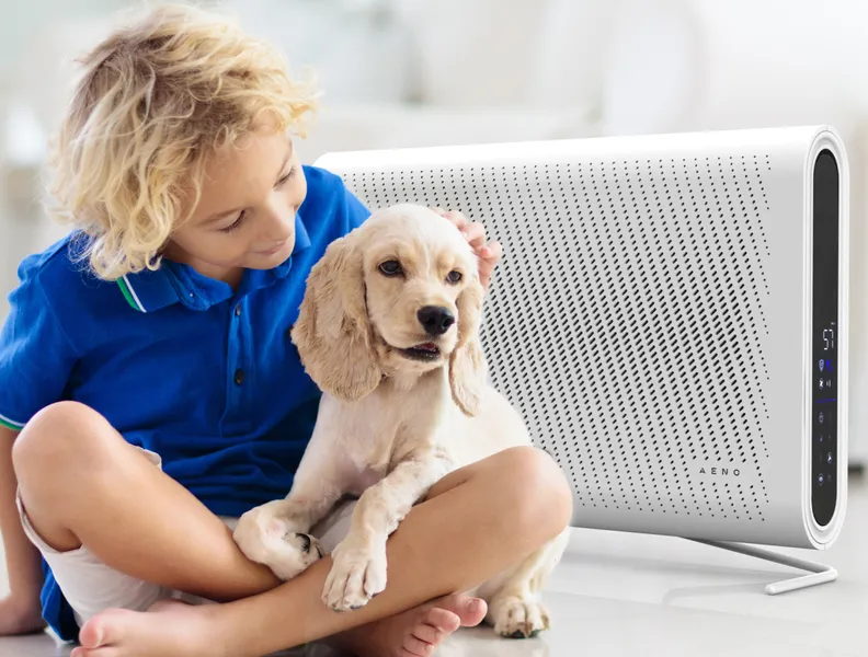 Curățarea aerului de alergeni