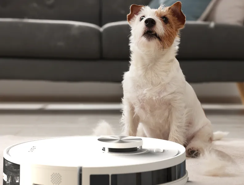 Účinné každodenné čistenie chlpov domácich zvierat