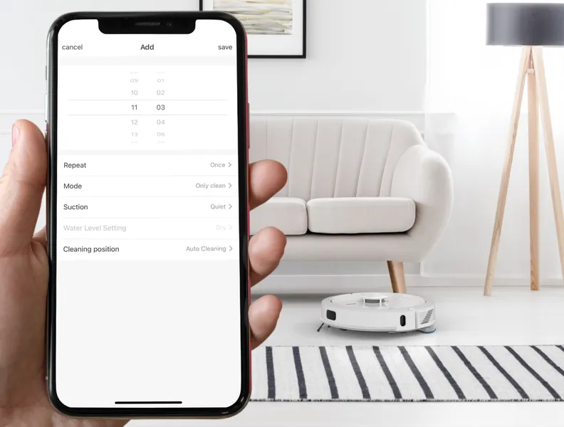 Programa de limpieza