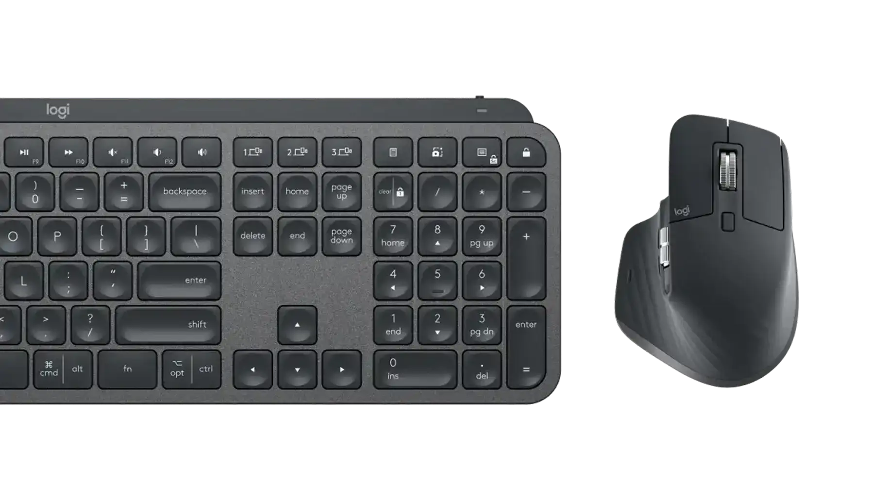 mouse