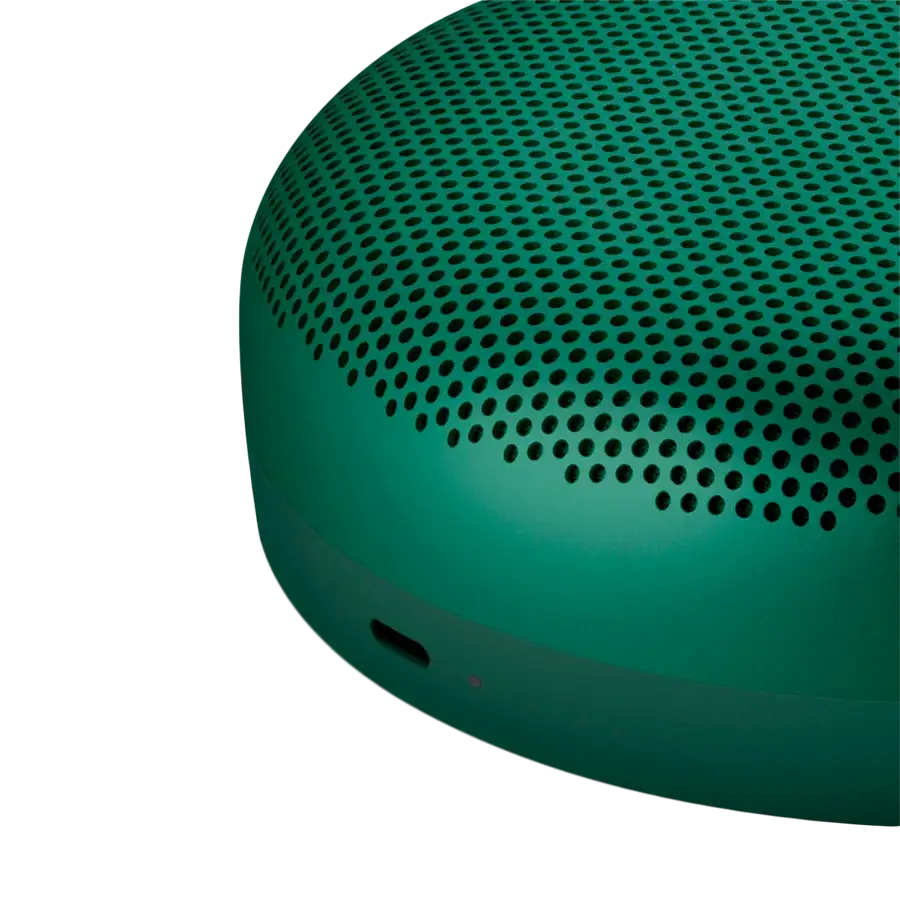 BANG & OLUFSEN Beosound A1 2nd Gen Portable Speaker Verde