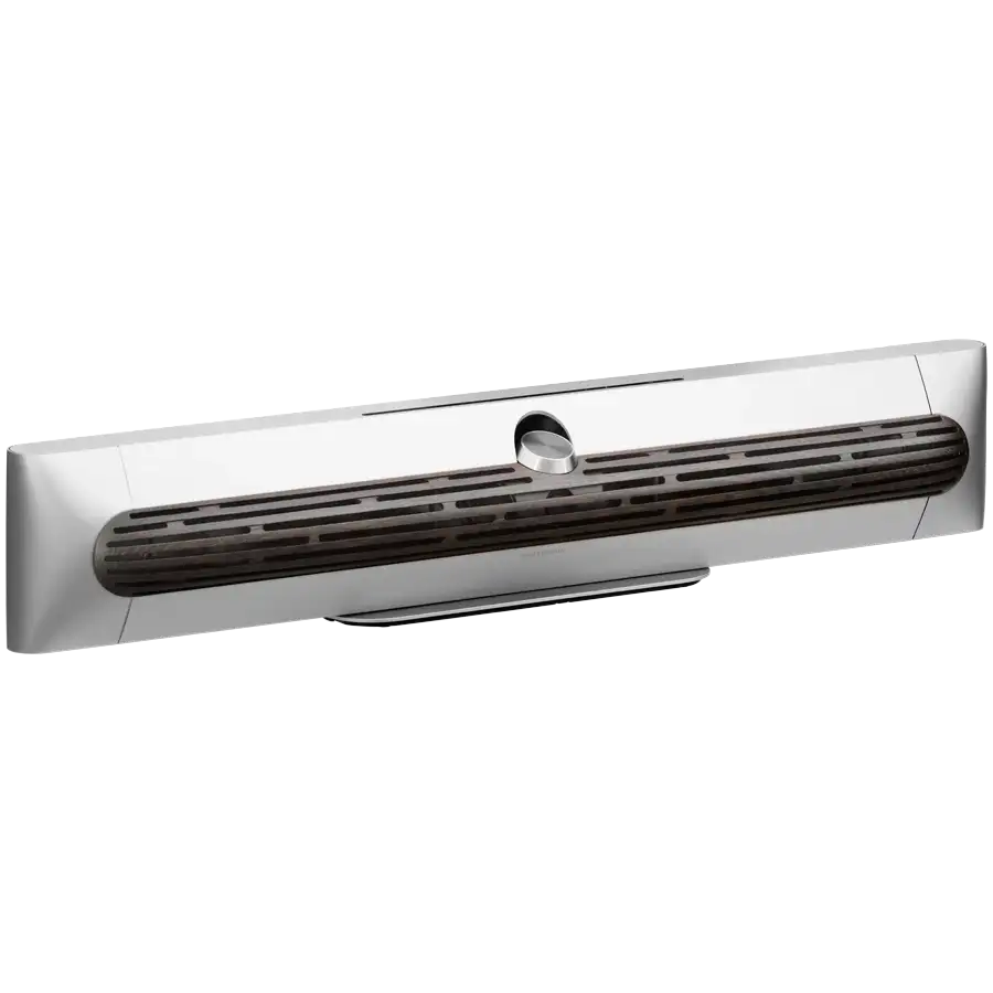 BANG & OLUFSEN Beosound Premiere Home Audio System, Натуральний