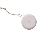 Beosound A1 2nd Gen Portable Speaker Rosa – photo 4