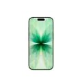 iPhone 17, 512 ГБ, Sage – photo 2