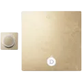 DEVIALET Astra Аудиосистема Золото – photo 2