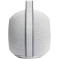 Портативная колонка DEVIALET Mania, Золото – photo 4