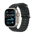 Apple Ocean Band - Natural Titanium Finish Ремешок для Apple Watch 44/45/46/49 mm, Чёрный – photo 2