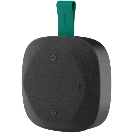 CANYON CNE-CBTSP10 Portable Speaker, Black/Green