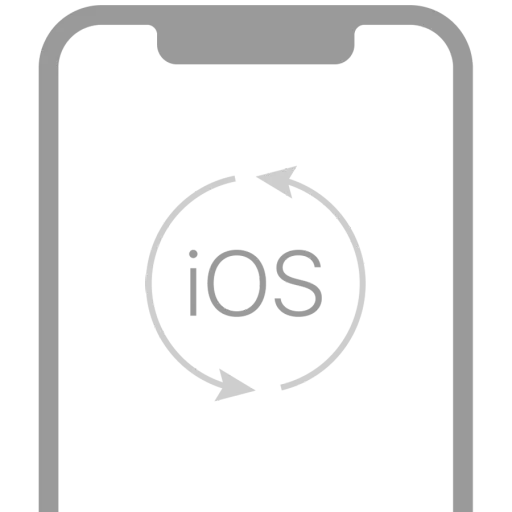 Crearea copiei de rezervă a iOS/iPadOS