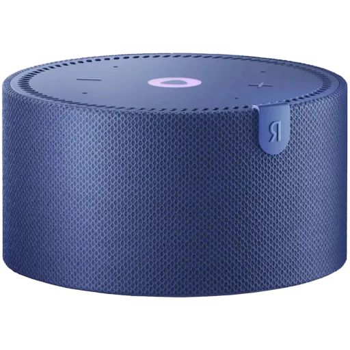 Ağıllı dinamik YANDEX Station Mini, Göy