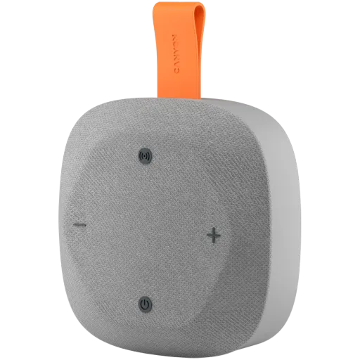 CANYON CNE-CBTSP10 Portable Speaker, Gray/Orange