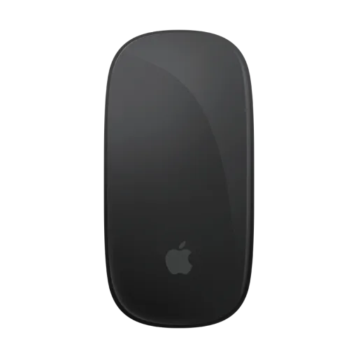 Apple Magic Mouse Mouse, Black