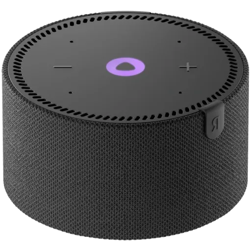 Ağıllı dinamik YANDEX Station Mini, Qara