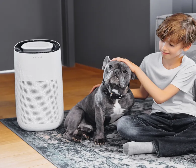 Очистка воздуха от аллергенов