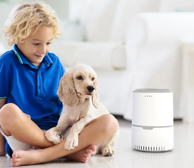 Čištění vzduchu od alergenů