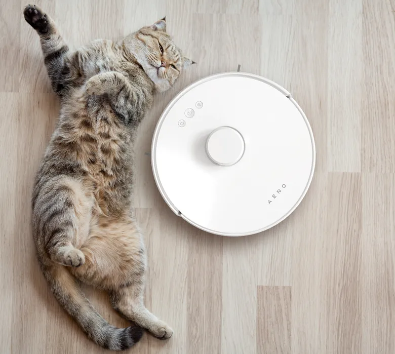 Curățare zilnică eficientă a părului de animale