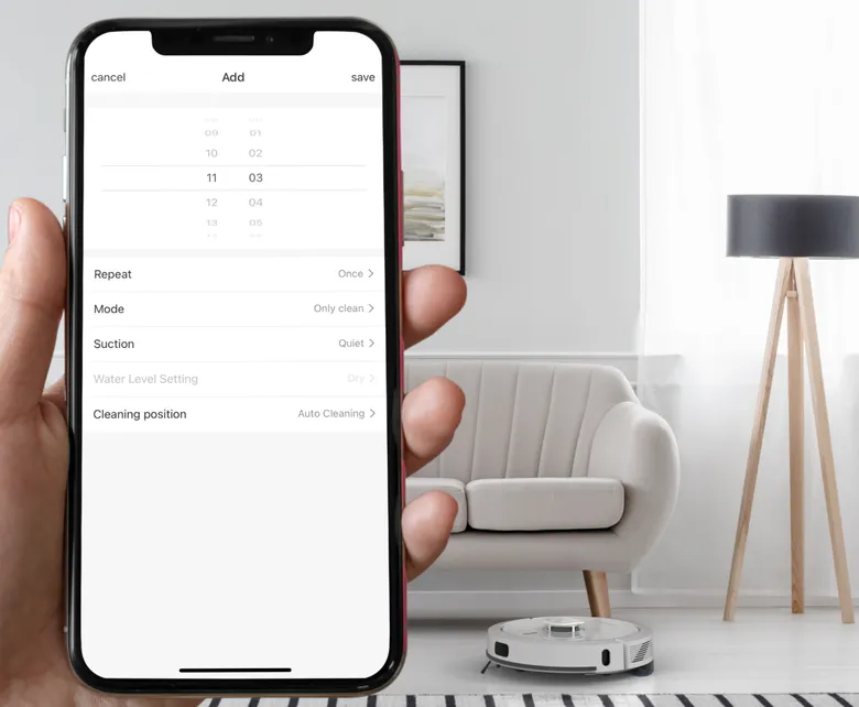 Program de curățare