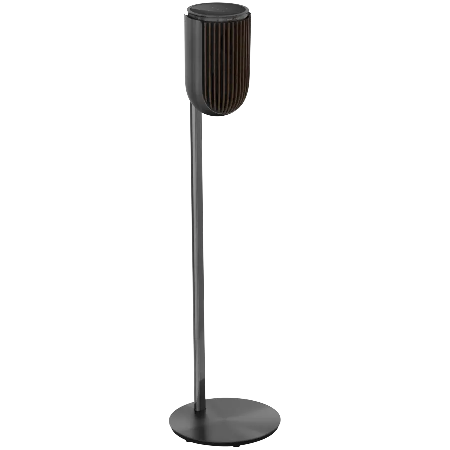 photo 3 - Beolab 8 AV System Black Anthracite/Dark Oak Floor Stand