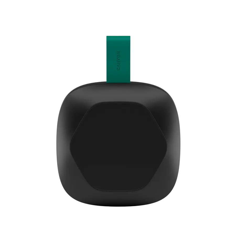 photo 5 - CANYON CNE-CBTSP10 Portable Speaker, Black/Green