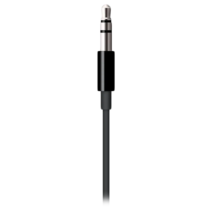 photo 1 - Apple Audio Cable, Black