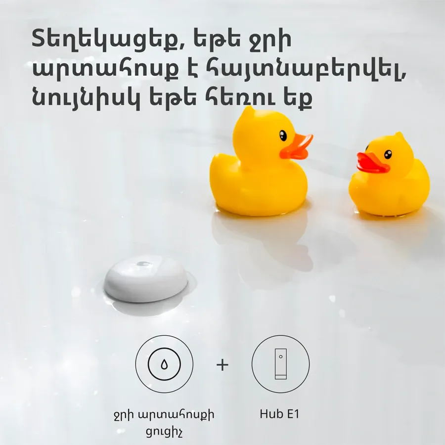 photo 15 - E1 HE1-G01