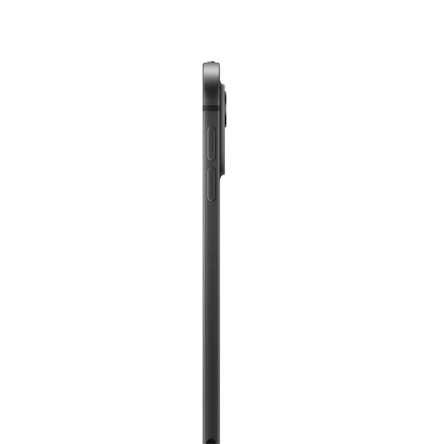 photo 2 - iPad Pro 11 M4, 256 GB Wi-Fi სტანდარტული მინა 2024, Space Black