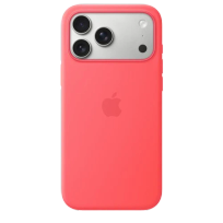 iPhone аксессуарлар