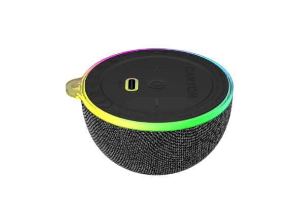 Wireless speaker OnMove 13