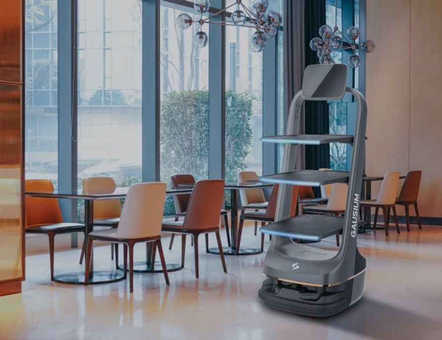 HoReCa robots