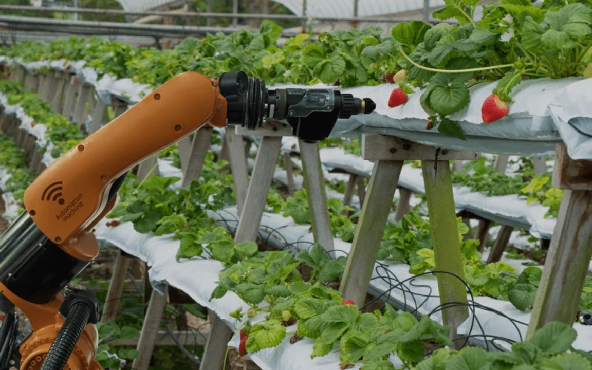 HARVESTING ROBOTIC PLATFORMS