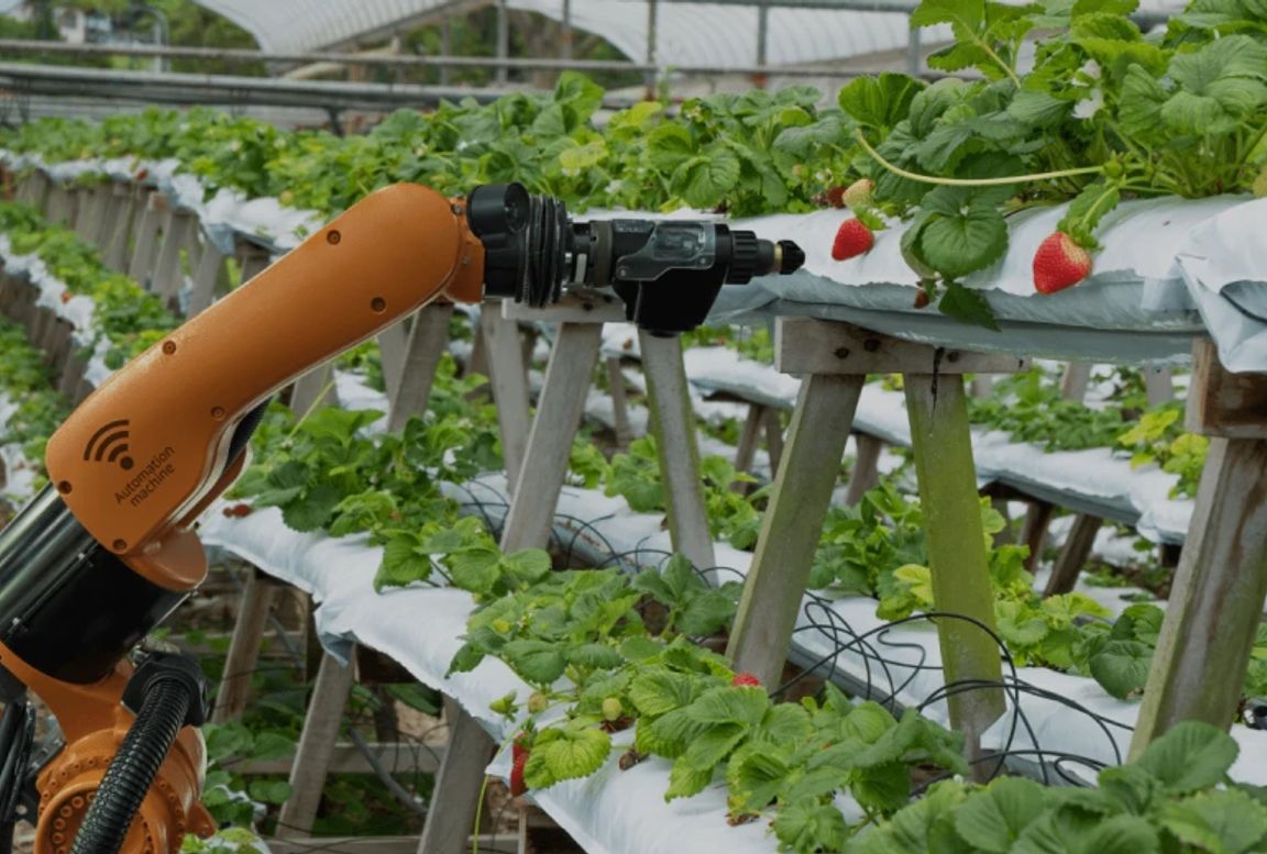 HARVESTING ROBOTIC PLATFORMS