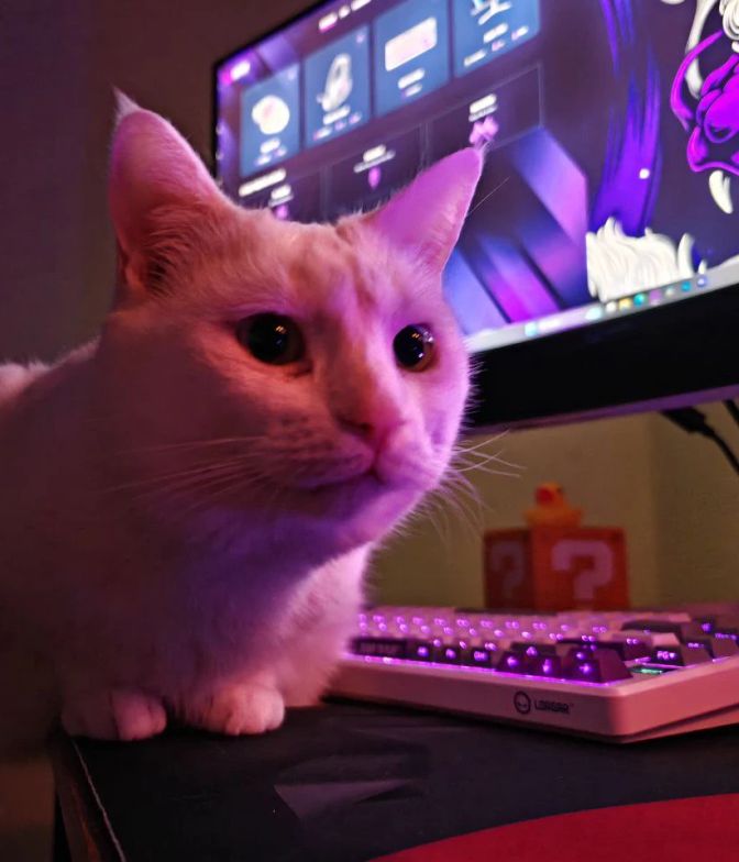 Gaming presets – what is preset in games and how to use it