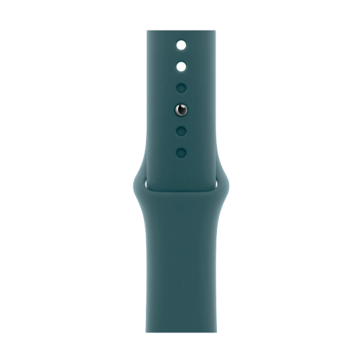 Apple 42mm Sport Band - S/M & M/L Band Extension Sport Band Lake Green for Apple Watch 38/42 mm