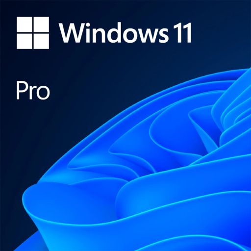 MICROSOFT Windows 11 Pro, Original Equipment Installer (OEI), English Language, 1 license