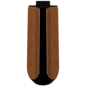 BANG & OLUFSEN Beolab 50 Σύστημα ήχου Piano Black — Εικών №1