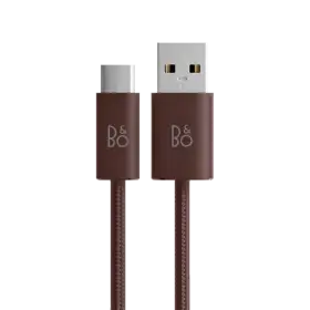 BANG & OLUFSEN Charging cable, Chestnut — Image №1