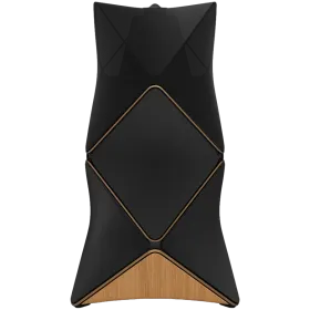 BANG & OLUFSEN Beolab 90 Σύστημα ήχου Χάλκινο/Μαύρο — Εικών №1