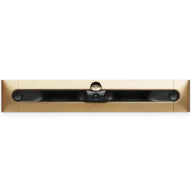 BANG & OLUFSEN Beosound Premiere Home Audio System Gold Tone — Image №1