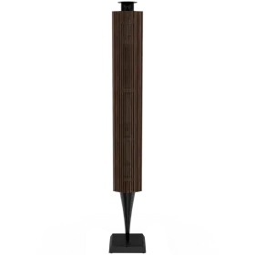 BANG & OLUFSEN Beolab 18 Σύστημα AV Μαύρος Ανθρακίτης — Εικών №1