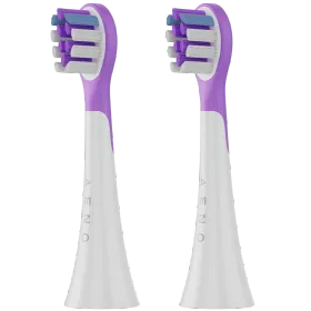 AENO — Εικών №1