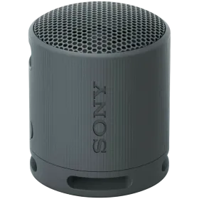 SONY SRS-XB100 Портативная колонка, Чёрный — Изображение №1