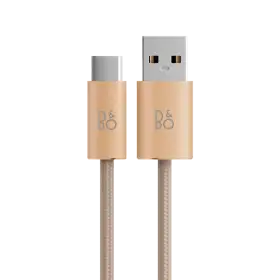 BANG & OLUFSEN Charging cable, Gold Tone — Image №1